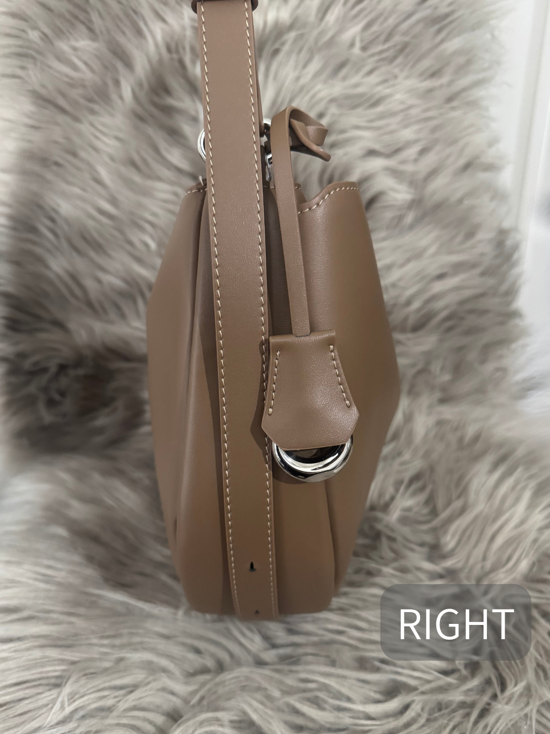 Fortune Cookie Bag